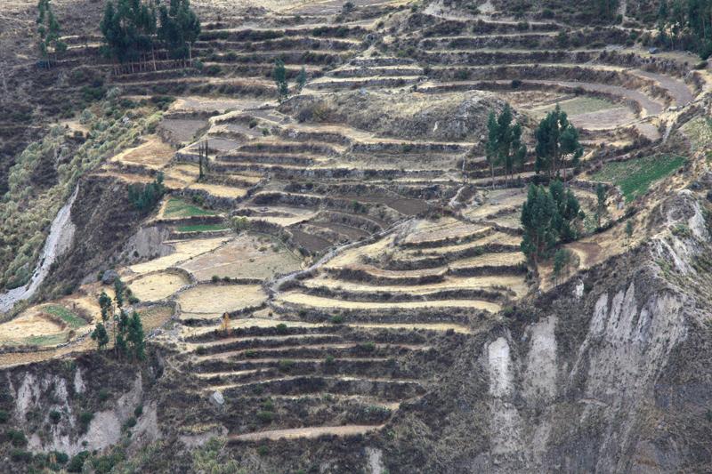 903-Canyon del Colca,15 luglio 2013.JPG